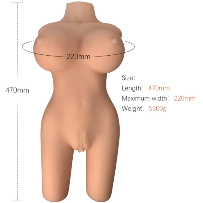 ARMONY - MODELLO REALISTICO DI BUSTO FEMMINILE 6