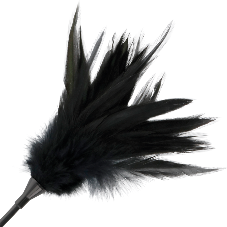 DARKNESS - FRUSTA A PIUME NERE