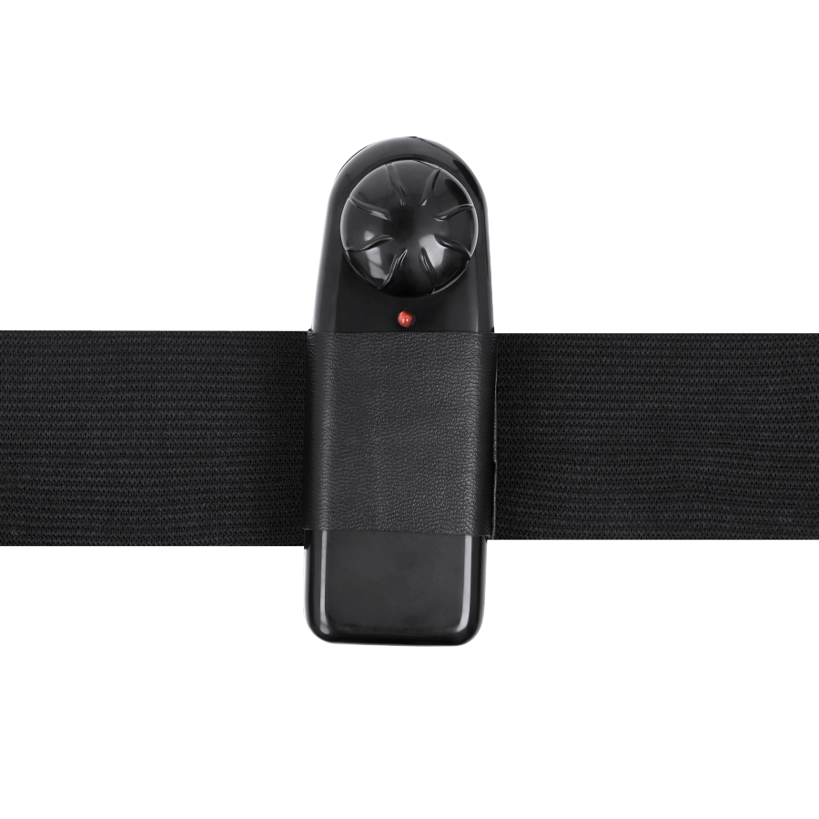 HARNESS ATTRACTION - GREGORY HOLLOW HARNAIS AVEC VIBRATEUR 16.5 CM -O- 4.3 CM
